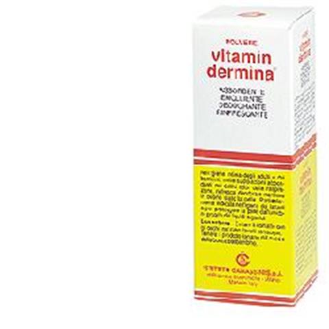 IST.GANASSINI SPA VITAMINDERMINA POLVERE 100 G IST.GANASSINI SPA