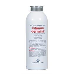 VITAMINDERMINA POLVERE SETA 100 g