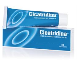 CICATRIDINA POMATA 60 g