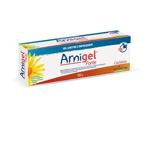 BOIRON SRL ARNIGEL FORTE 100 G BOIRON SRL