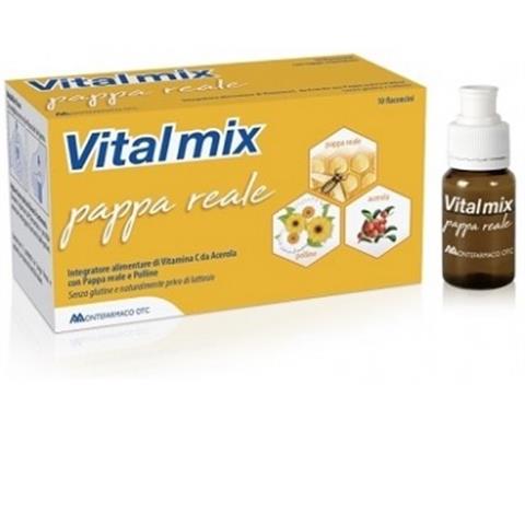 MONTEFARMACO OTC SPA VITALMIX PAPPA REALE 10FLACONCINI X10 ML S/GL MONTEFARMACO OTC SPA