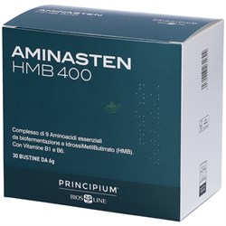 PRINCIPIUM AMINASTEN HMB400 14 BUSTINE 6 g