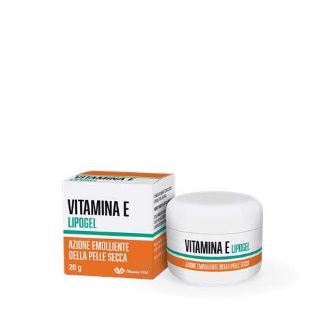 MARCO VITI FARMACEUTICI SPA VITAMINA & LIPOGEL 20 G MARCO VITI FARMACEUTICI SPA