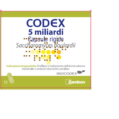 BIOCODEX CODEX*12 cps 5 mld 250 mg BIOCODEX