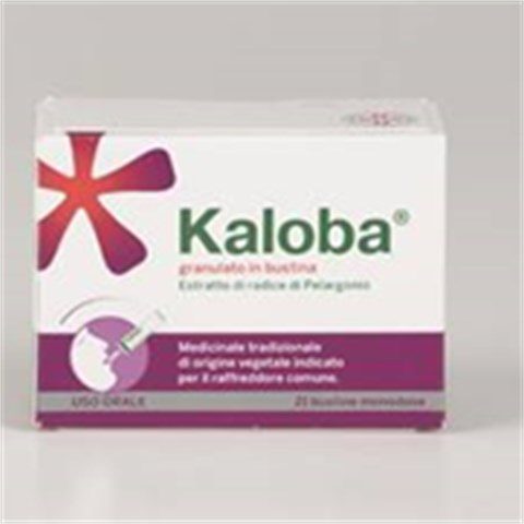 DR.WILLMAR SCHWABE GMBH&CO.KG KALOBA*orale grat 21 bust 800 mg DR.WILLMAR SCHWABE GMBH&CO.KG